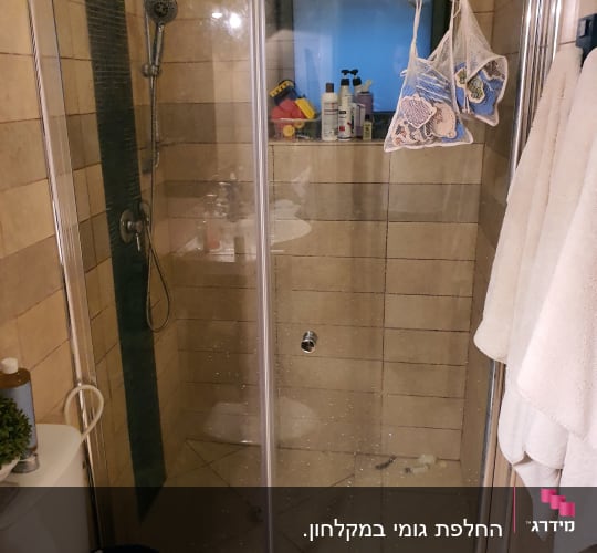מקלחת עם דלת זכוכית, ראש מקלחת ומדף עם מוצרים